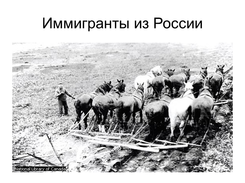 Иммигранты из России